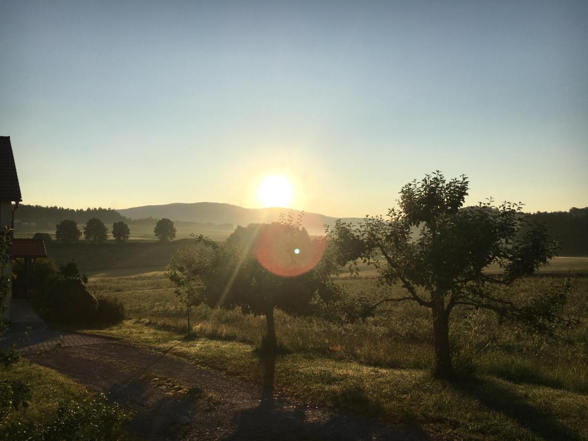 Ferienwohnung Im Idyll 1 Hengersberg Bagian luar foto